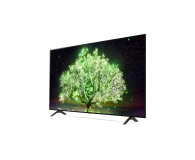 LG OLED48A13LA - 663097 - zdjęcie 6